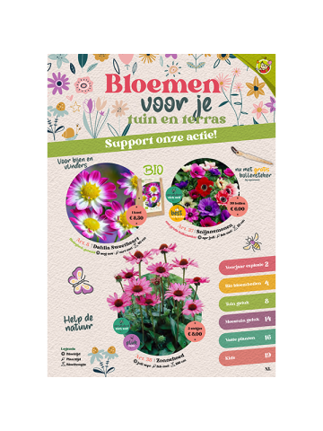 Large Bloembollenactie Voorjaar