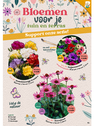 Medium Bloembollenactie Voorjaar