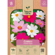 Cosmos Sensation mengsel 