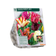 Parkiet Tulpen per 10