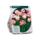 Dubbele Roze Tulpen per 10