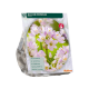 Roze Knuffeltjes per 100
