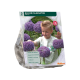 Reuze Sierlook per 3