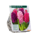 Geurende Hyacinten Roze per 9
