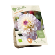 Bio Dahlia Wit