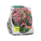 Gebroken Hartje Roze per 2