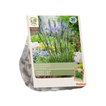 Camassia & Dille per 20