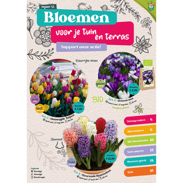 Large Bloembollenactie
