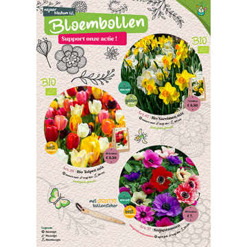 Medium Bloembollenactie