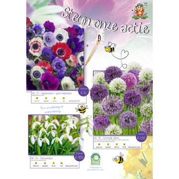 Baltus Medium Brochure